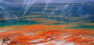 Detail from Lake Bohinj in Slowenia