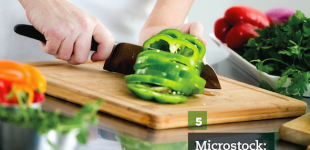 microstock offers the potential of having a career